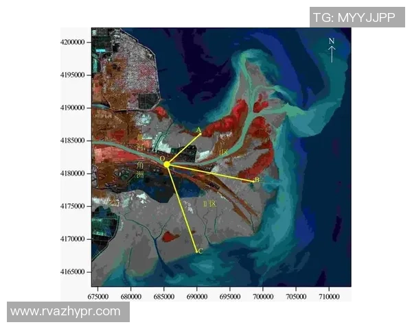 武汉网球队与上海网球队赛后技术分析与战术对比探讨