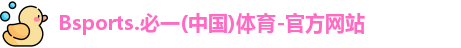 B体育官网